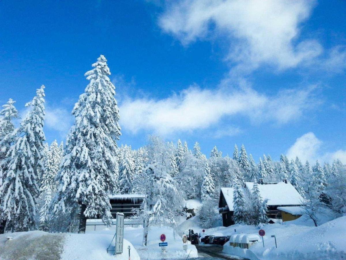 H&P Touristik Residenz Grafenmatt Gra-3-1 Apartment Feldberg  Exterior photo
